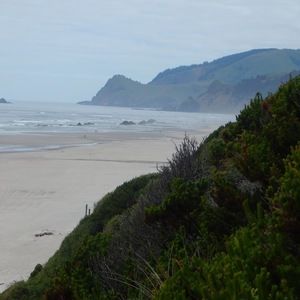 Meet your Posher, Tabitha